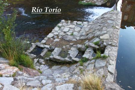 Re: Río Torío, una muerte confirmada