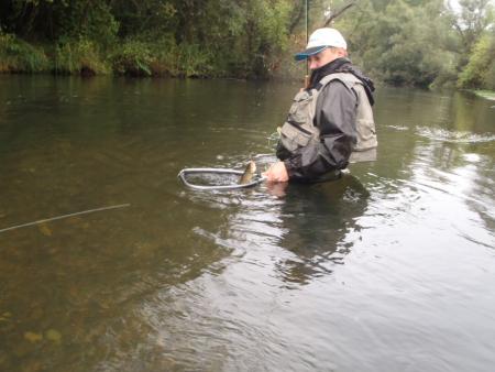 Re: Campana y se acabó...
