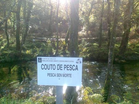 Homenaje a los pescadores....