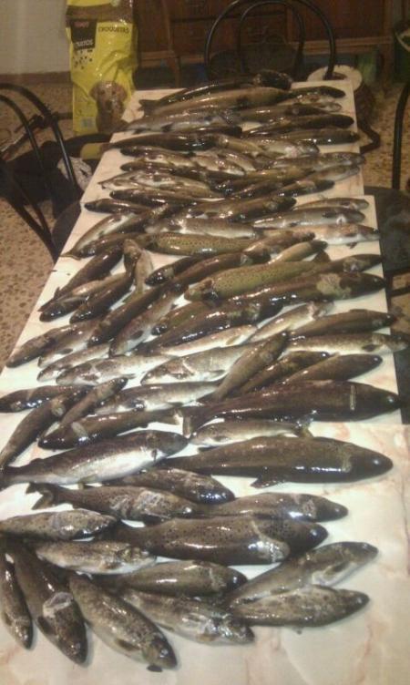 Furtivos en el Selmo (Bierzo)