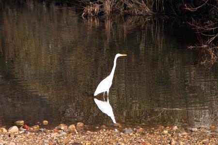 Re: Camuflaje perfecto.