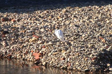 Re: Camuflaje perfecto.