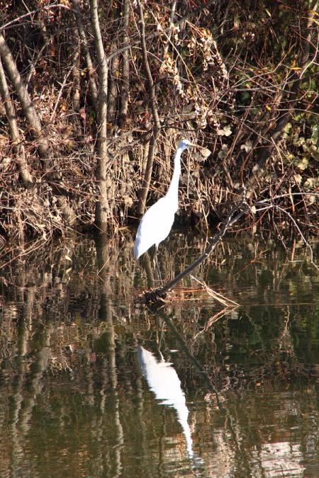Re: Camuflaje perfecto.