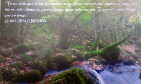 Beni Rodríguez, presidenta del Consejo de Gestores de Reservas de la Biosfera