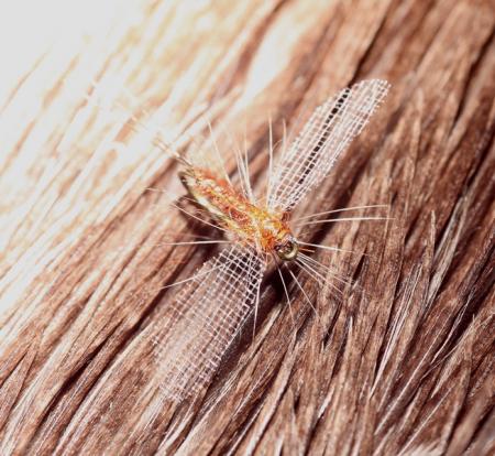 Re: Sección Montaje