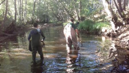 Re: Rescate de truchas