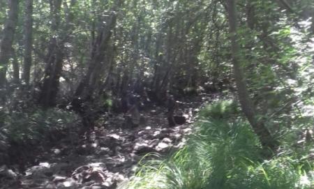 Re: Rescate de truchas