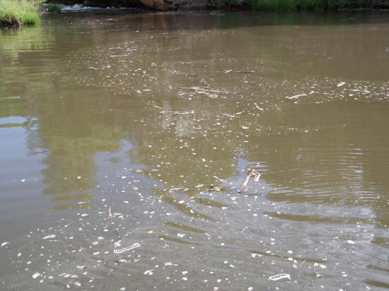 Re: Torío - Minicentral