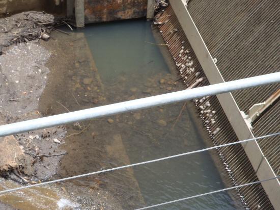 Re: Torío - Minicentral