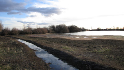 Un nuevo ciclo llega....vuelve el agua y con ella la vida.