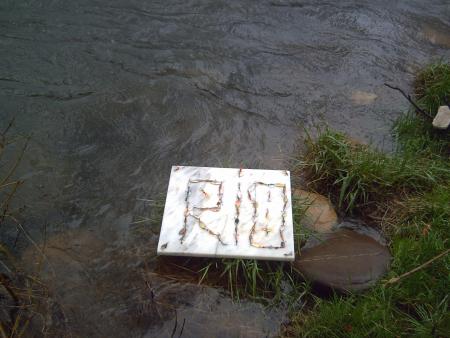 Re: pesca con cucharilla
