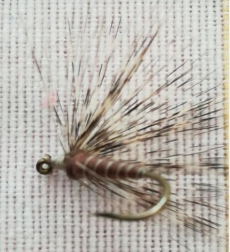 Ayuda identificar mosca ahogada 