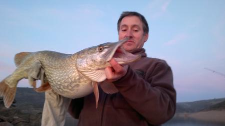 Re: Ayuda Pesca Lucio