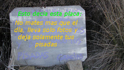 Un nuevo ciclo llega....vuelve el agua y con ella la vida.