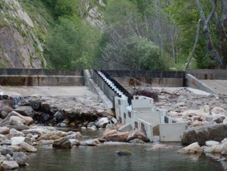 Re: Cómo enloquecer a las truchas apretando un botón