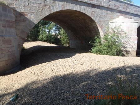 Limpieza en el Torío...¡¡YA!!