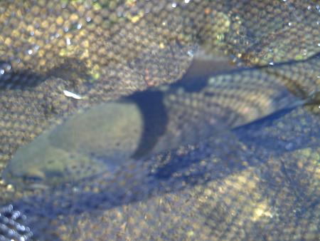 Deportividad o compañerismo