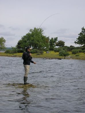 Re: El daño de los anzuelos