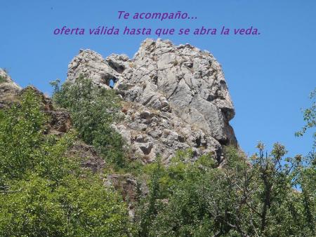 Que hacer cuando se cierra la veda?