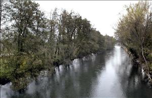 Cúa y Tremor, los ríos mas dañados por la contaminación