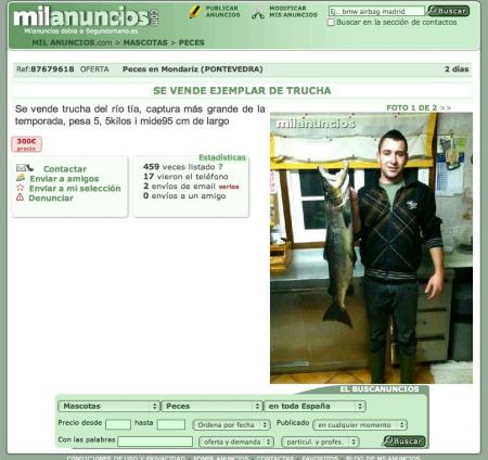 La trucha - Salmón.