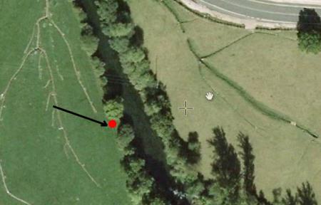 Re: ¿Bogas en Villasecino?