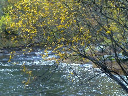 Re: Río Torío, una muerte confirmada