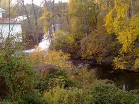 Re: Río Torío, una muerte confirmada