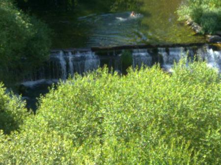 Re: Río Torío, una muerte confirmada