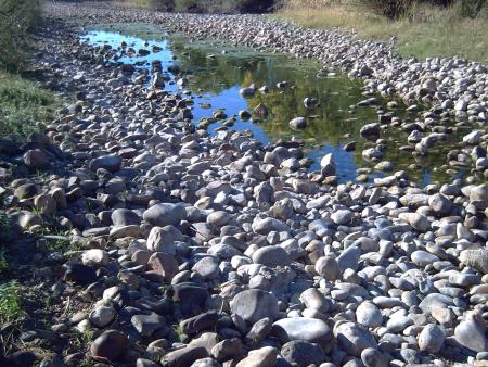 Re: Tuerto en alerta roja